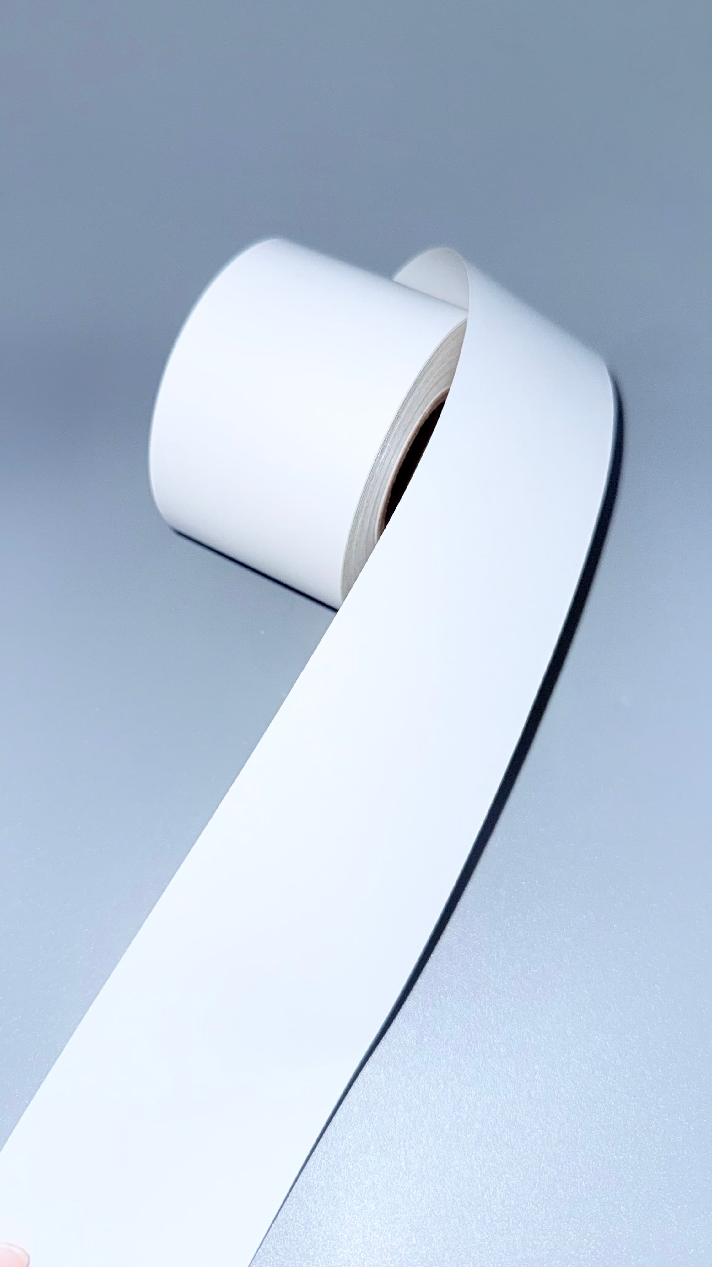 Bizerba Strip Labels